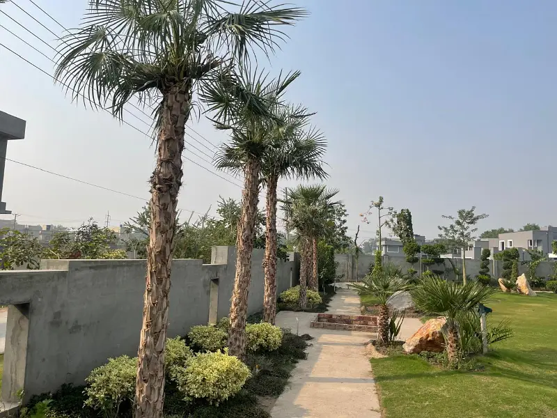 Farm House For Sale Gray ready At Main Bedian Road Lahore