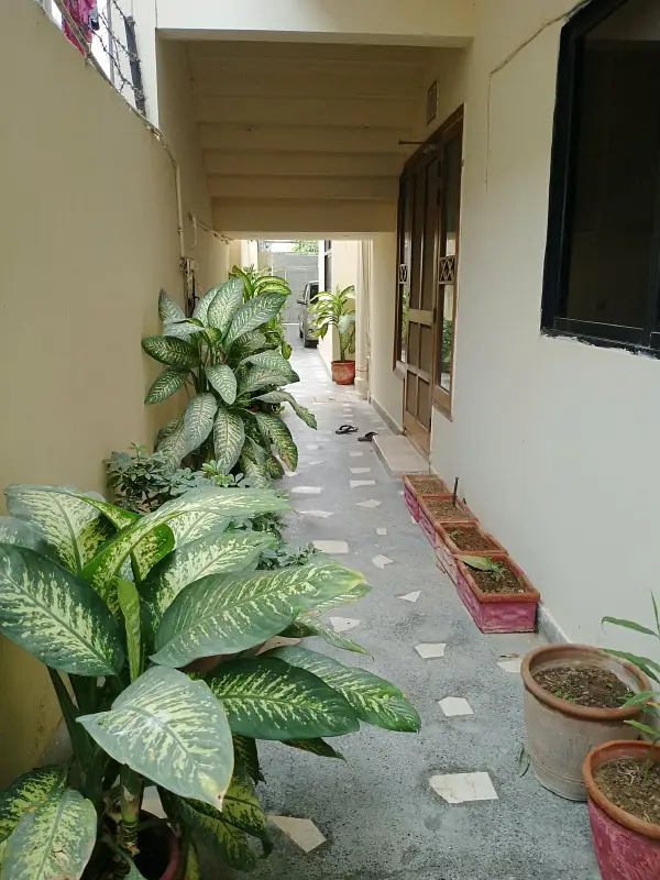 Gulistan-e-Jauhar - Block 14 House Sized 600 Square Yards